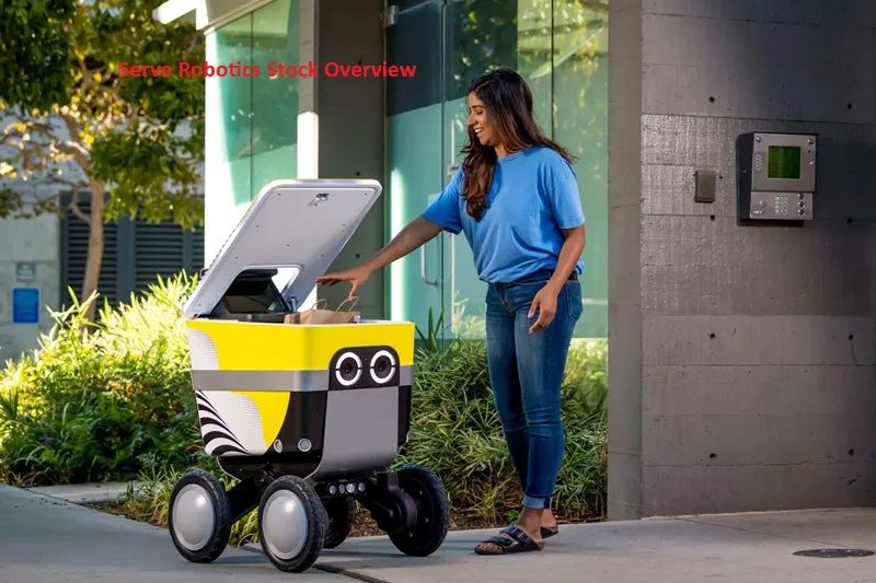 Serve Robotics Stock Overview