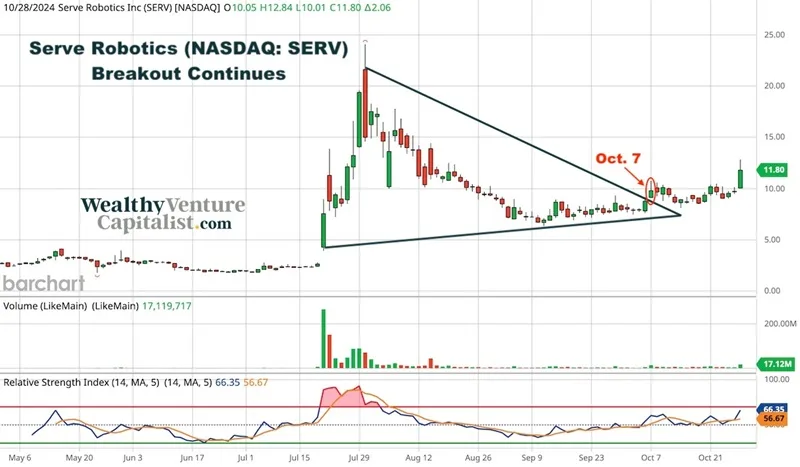 Why Is Serve Robotics Stock Price Rising