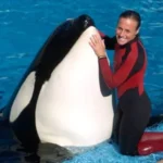 jessica orca incident